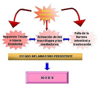FISIOPATOLOGIA ABORTO fisiopatologia aborto: