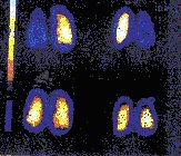 Image15.jpg (10905 bytes)