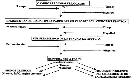 endotelial04b.jpg (26554 bytes)